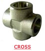 Industrial Weldolets